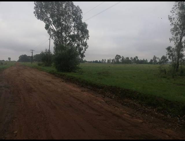 FARM FOR SALE IN DREAMLAND